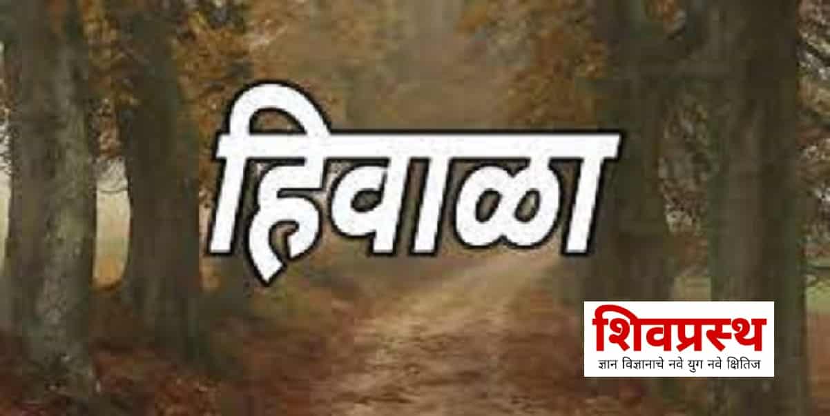 हिवाळ्यात आहारात या गोष्टींचा करा समावेश, आजारांपासून राहाल दूर