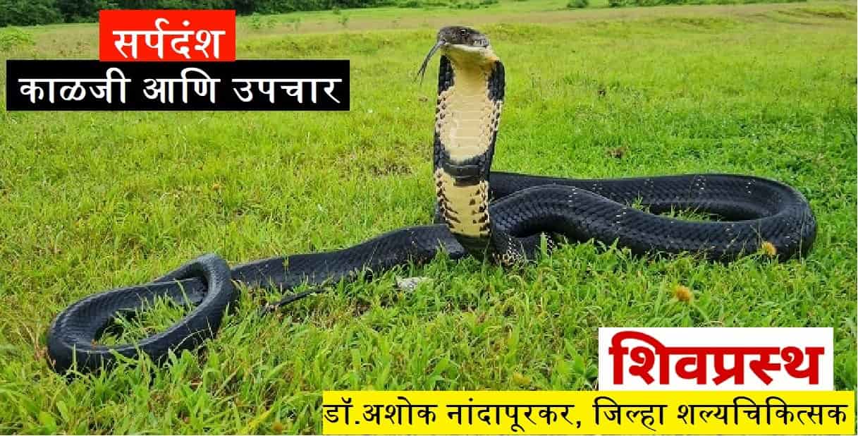 सर्पदंश : काळजी आणि उपचार|Snakebite: Care and Treatment